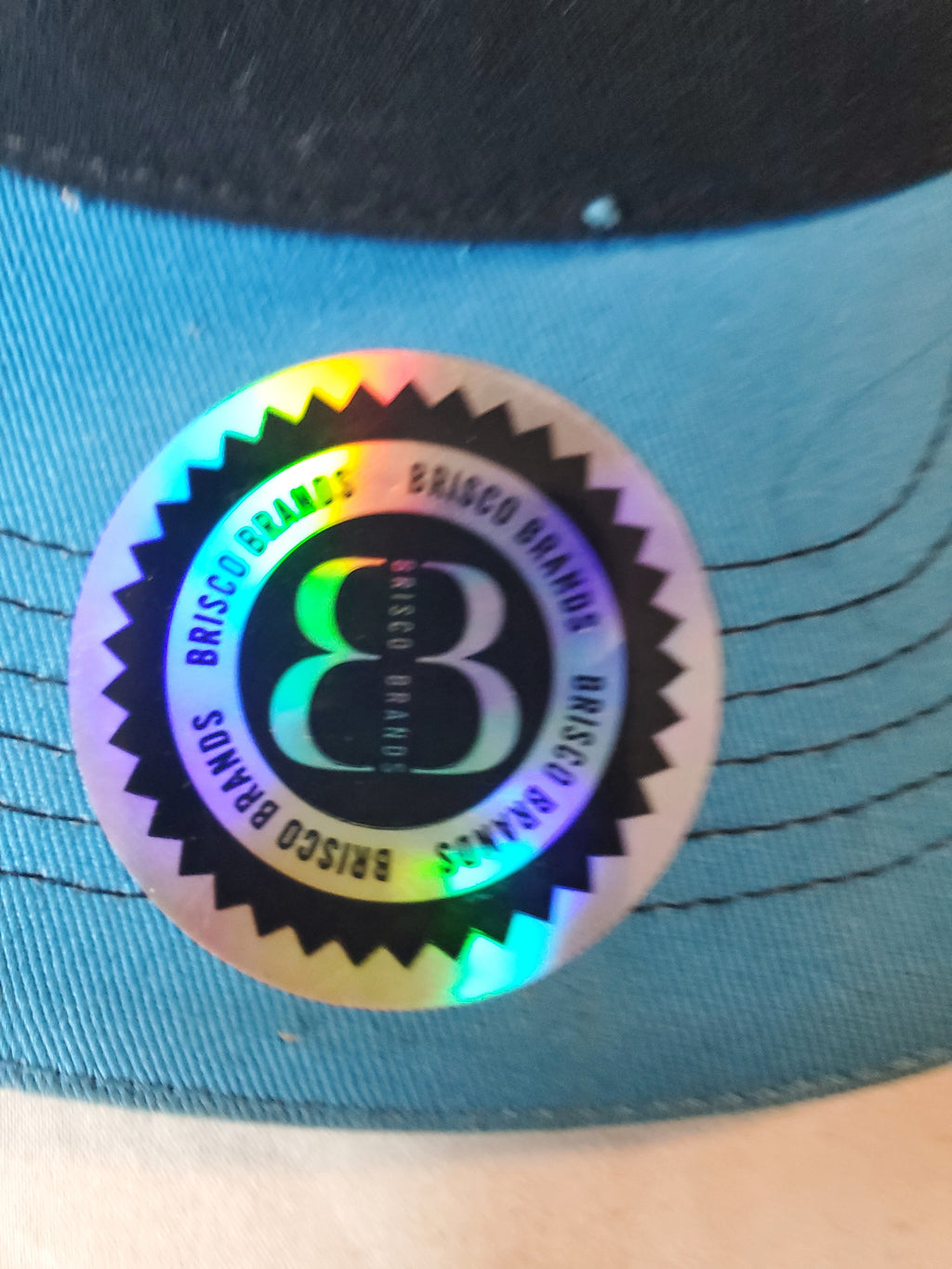 Brisco Brands Blue Snapback HUSTLE Cap with Money Bag Graphics