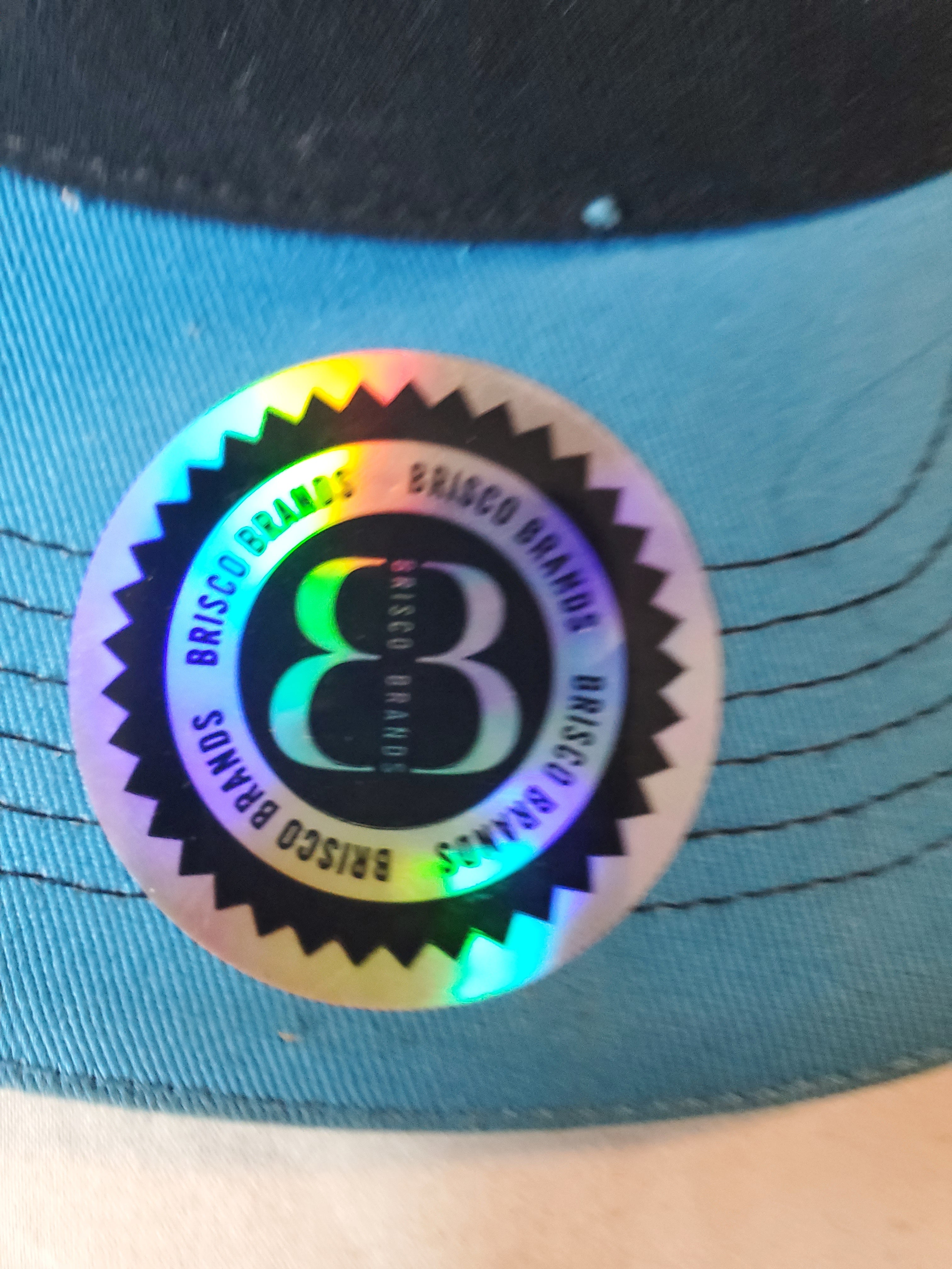 Brisco Brands Blue Snapback HUSTLE Cap with Money Bag Graphics